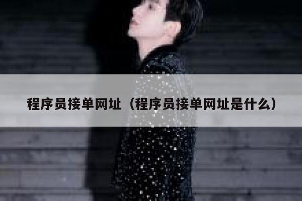 程序员接单网址（程序员接单网址是什么） 第1张