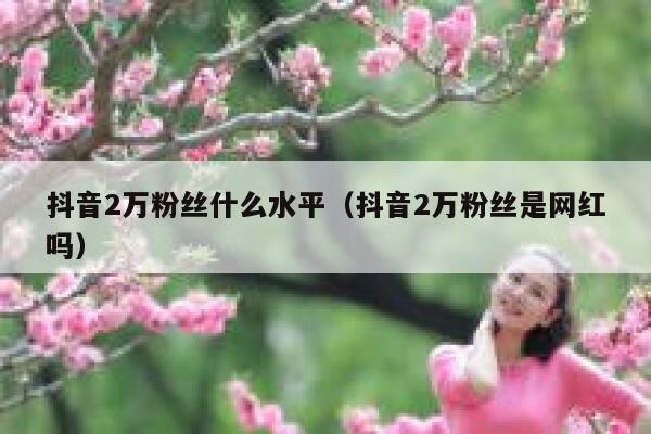 抖音2万粉丝什么水平（抖音2万粉丝是网红吗） 第1张