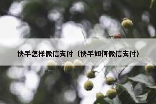 快手怎样微信支付（快手如何微信支付） 第1张