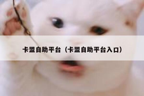 卡盟自助平台（卡盟自助平台入口） 第1张