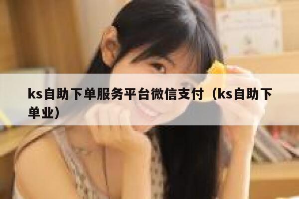 ks自助下单服务平台微信支付（ks自助下单业） 第1张