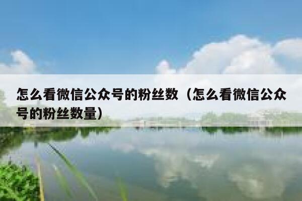 怎么看微信公众号的粉丝数（怎么看微信公众号的粉丝数量） 第1张