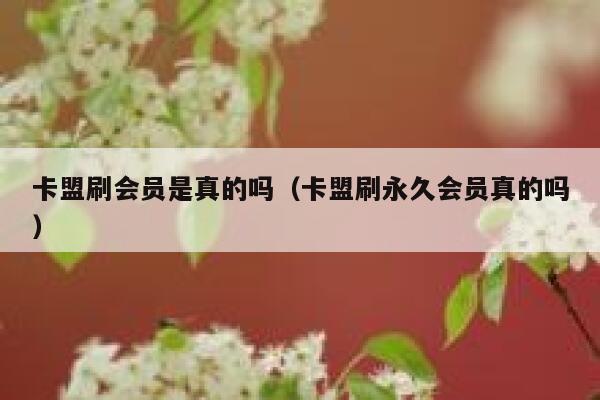 卡盟刷会员是真的吗（卡盟刷永久会员真的吗） 第1张