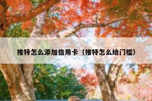 推特怎么添加信用卡（推特怎么给门槛） 第1张