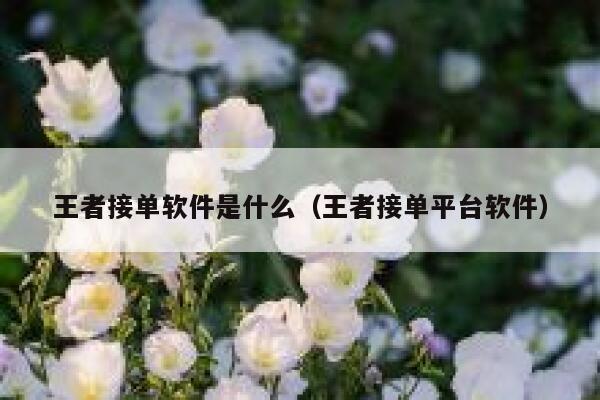 王者接单软件是什么（王者接单平台软件） 第1张