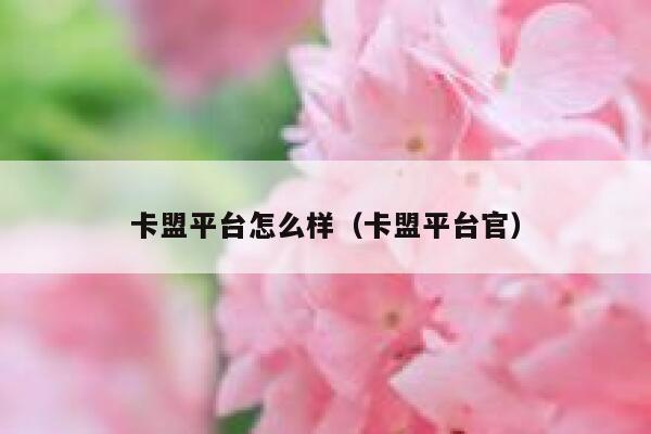 卡盟平台怎么样（卡盟平台官） 第1张