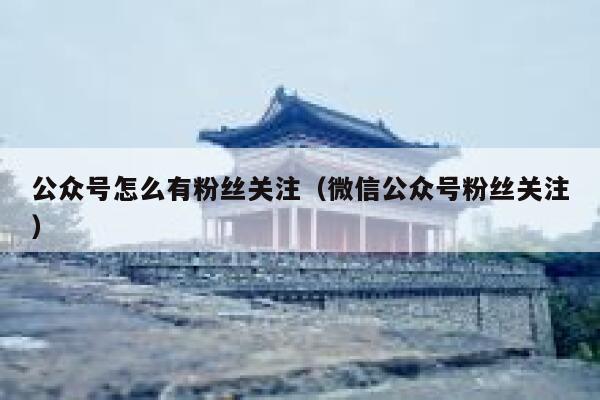 公众号怎么有粉丝关注（微信公众号粉丝关注） 第1张