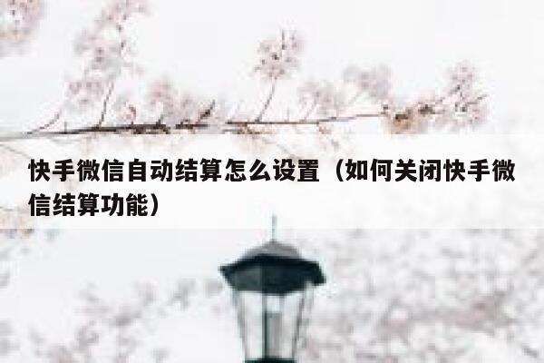 快手微信自动结算怎么设置（如何关闭快手微信结算功能） 第1张