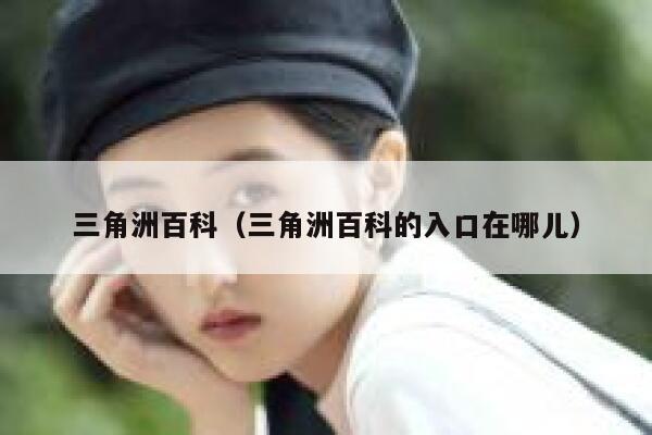 三角洲百科（三角洲百科的入口在哪儿） 第1张