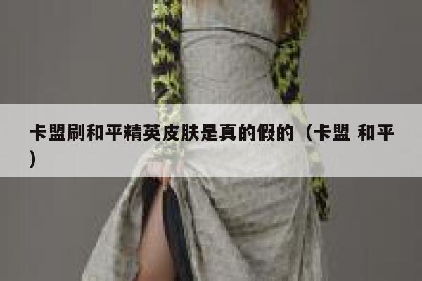 卡盟刷和平精英皮肤是真的假的（卡盟 和平） 第1张