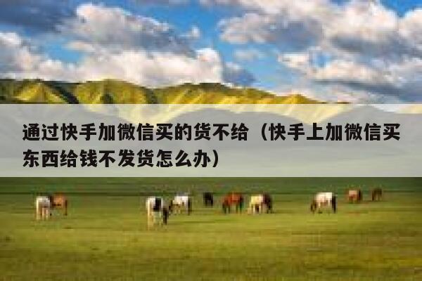通过快手加微信买的货不给（快手上加微信买东西给钱不发货怎么办） 第1张