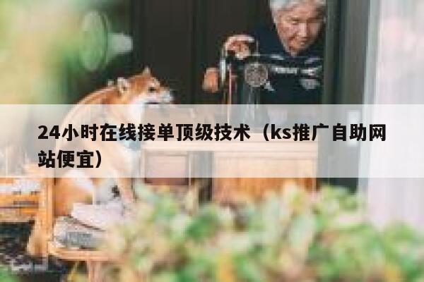 24小时在线接单顶级技术（ks推广自助网站便宜） 第1张