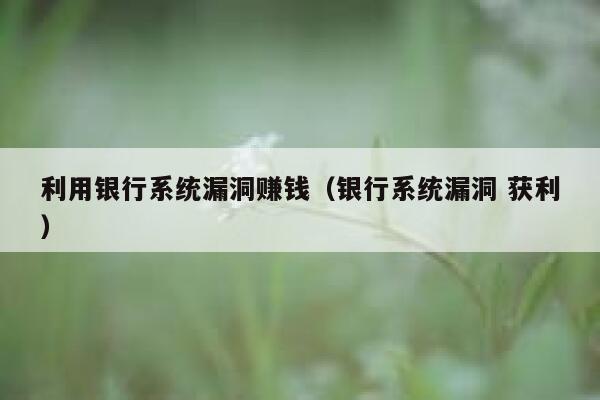 利用银行系统漏洞赚钱（银行系统漏洞 获利） 第1张