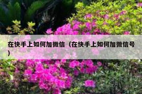 在快手上如何加微信（在快手上如何加微信号） 第1张