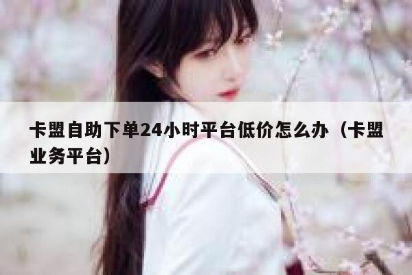 卡盟自助下单24小时平台低价怎么办（卡盟业务平台） 第1张