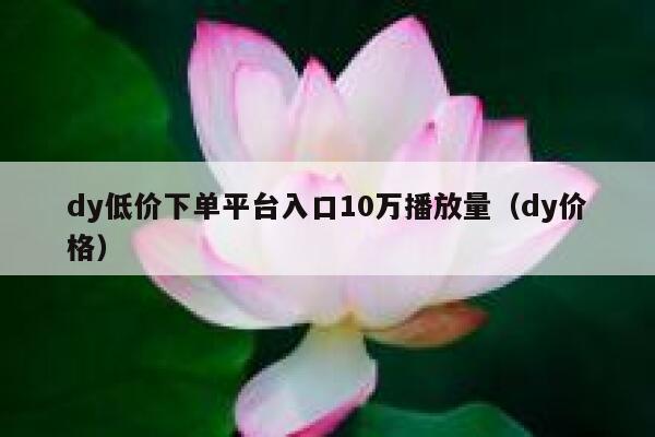 dy低价下单平台入口10万播放量（dy价格） 第1张