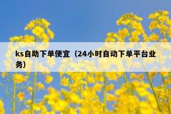 ks自助下单便宜（24小时自动下单平台业务） 第1张