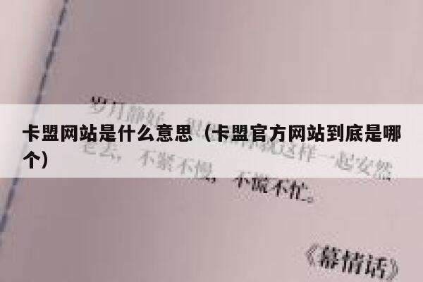 卡盟网站是什么意思（卡盟官方网站到底是哪个） 第1张