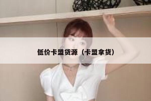 低价卡盟货源（卡盟拿货） 第1张