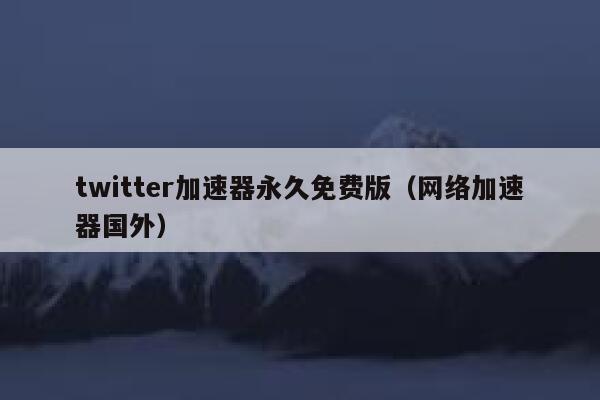 twitter加速器永久免费版（网络加速器国外） 第1张