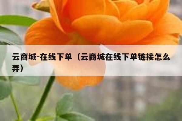 云商城-在线下单（云商城在线下单链接怎么弄） 第1张
