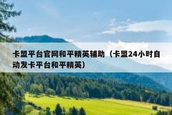 卡盟平台官网和平精英辅助（卡盟24小时自动发卡平台和平精英） 第1张