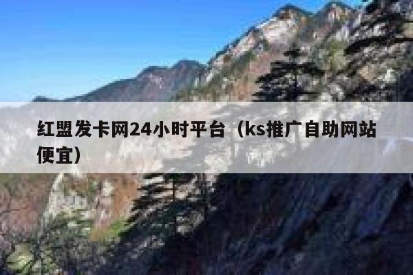 红盟发卡网24小时平台（ks推广自助网站便宜） 第1张