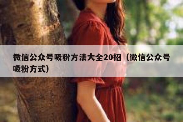 微信公众号吸粉方法大全20招（微信公众号吸粉方式） 第1张