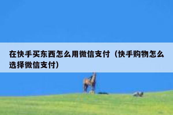 在快手买东西怎么用微信支付（快手购物怎么选择微信支付） 第1张