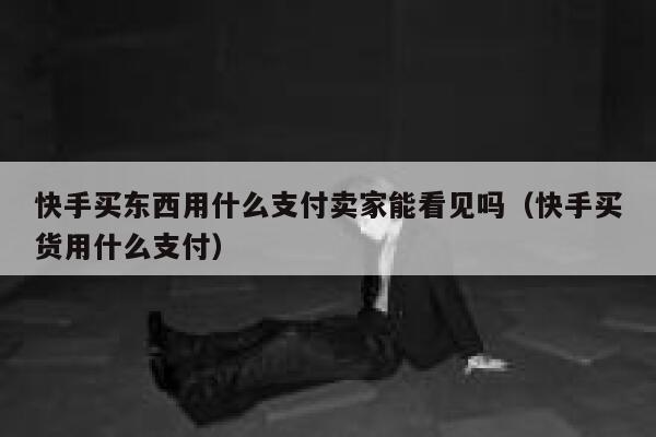 快手买东西用什么支付卖家能看见吗（快手买货用什么支付） 第1张