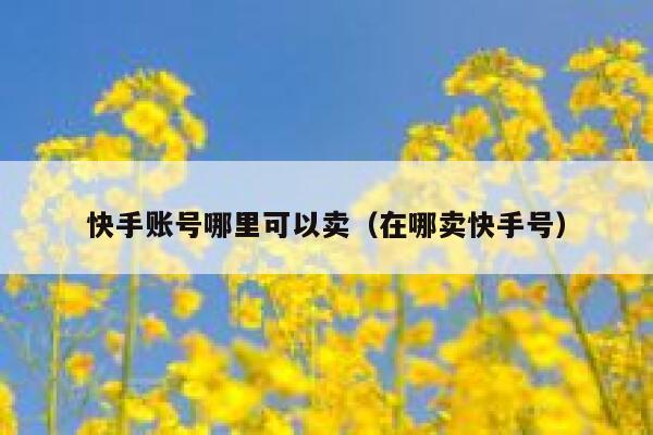 快手账号哪里可以卖（在哪卖快手号） 第1张