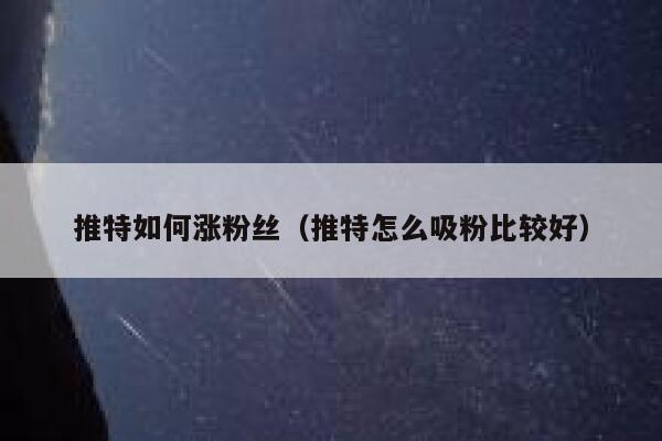推特如何涨粉丝（推特怎么吸粉比较好） 第1张