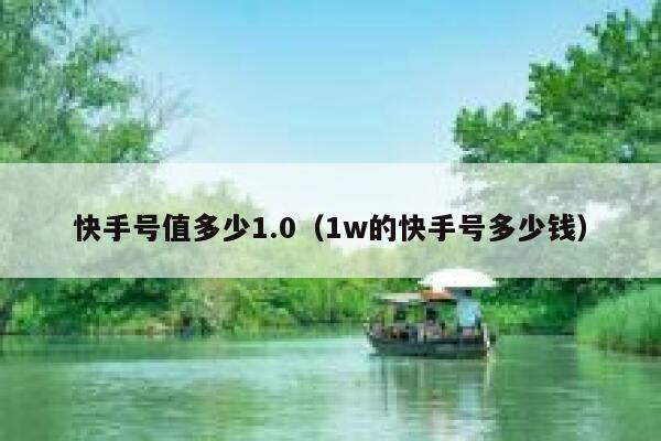 快手号值多少1.0（1w的快手号多少钱） 第1张