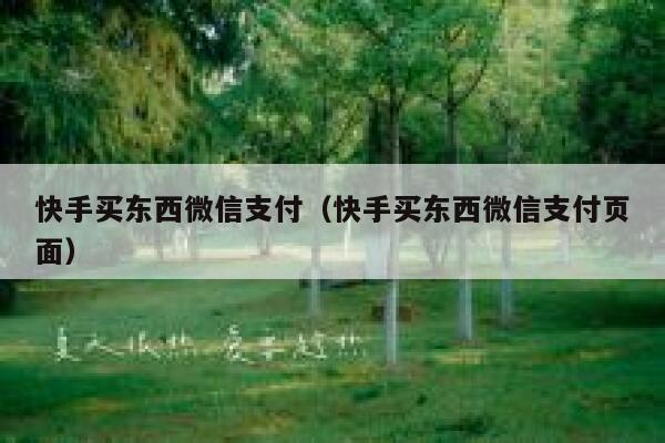 快手买东西微信支付（快手买东西微信支付页面） 第1张