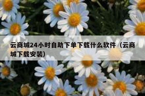 云商城24小时自助下单下载什么软件（云商城下载安装） 第1张