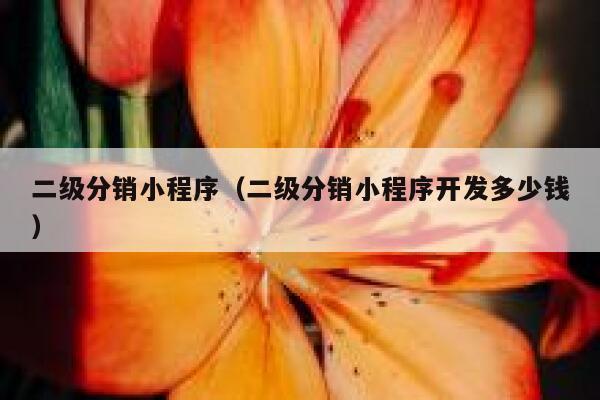 二级分销小程序（二级分销小程序开发多少钱） 第1张