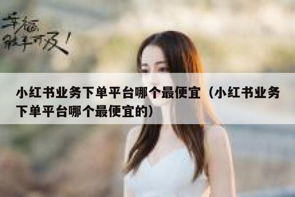 小红书业务下单平台哪个最便宜（小红书业务下单平台哪个最便宜的） 第1张