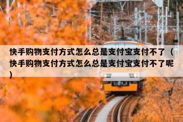 快手购物支付方式怎么总是支付宝支付不了（快手购物支付方式怎么总是支付宝支付不了呢） 第1张