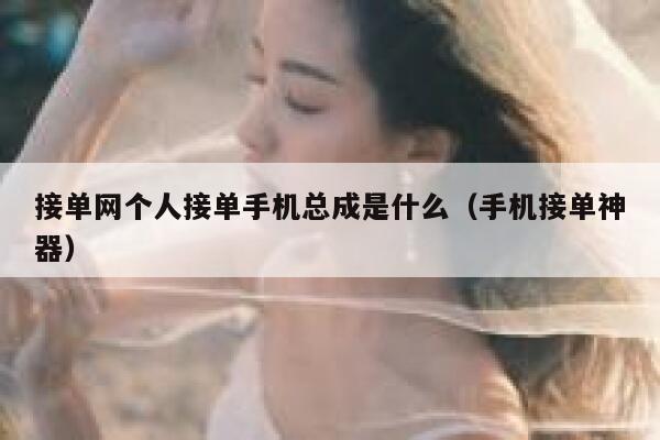 接单网个人接单手机总成是什么（手机接单神器） 第1张