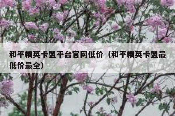 和平精英卡盟平台官网低价（和平精英卡盟最低价最全） 第1张