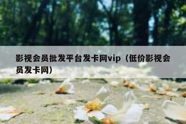 影视会员批发平台发卡网vip（低价影视会员发卡网） 第1张