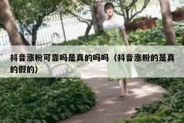 抖音涨粉可靠吗是真的吗吗（抖音涨粉的是真的假的） 第1张