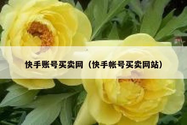 快手账号买卖网（快手帐号买卖网站） 第1张