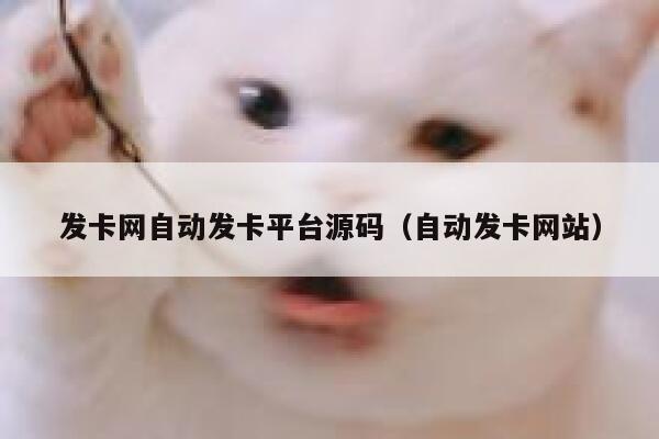 发卡网自动发卡平台源码（自动发卡网站） 第1张