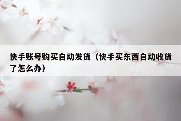 快手账号购买自动发货（快手买东西自动收货了怎么办） 第1张