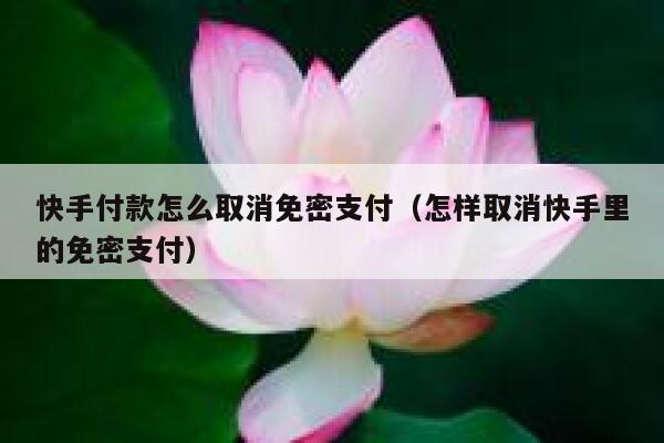 快手付款怎么取消免密支付（怎样取消快手里的免密支付） 第1张