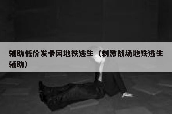 辅助低价发卡网地铁逃生（刺激战场地铁逃生辅助） 第1张