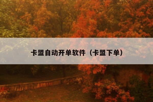 卡盟自动开单软件（卡盟下单） 第1张
