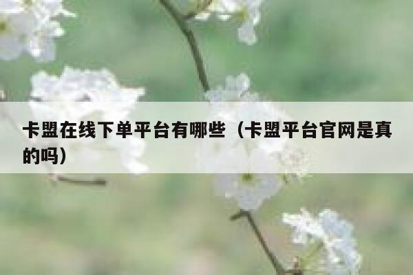 卡盟在线下单平台有哪些（卡盟平台官网是真的吗） 第1张