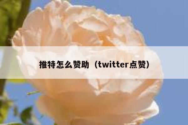 推特怎么赞助（twitter点赞） 第1张